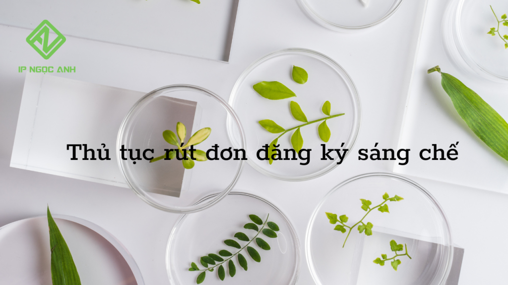 Thủ tục rút đơn đăng ký sáng chế