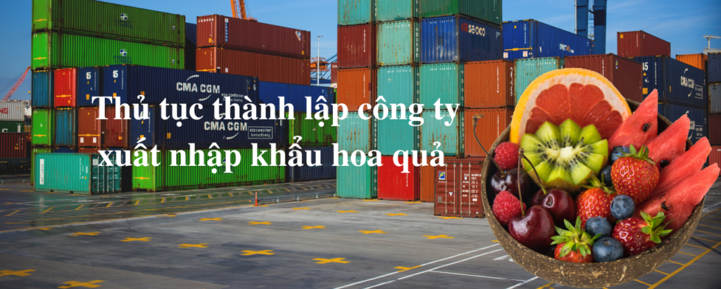 Thủ tục thành lập công ty xuất nhập hoa quả